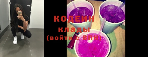 молекула духа Осинники