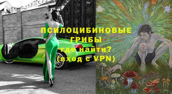 молекула духа Осинники