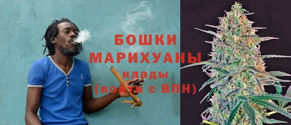 молекула духа Осинники