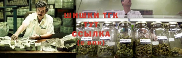 молекула духа Осинники