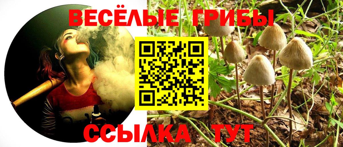 Псилоцибиновые грибы Psilocybe  Вход с VPN  Сухой Лог  Галлюциногенные грибы Cubensis 