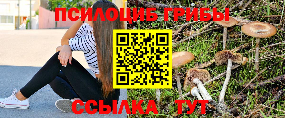 Галлюциногенные грибы Cubensis Сухой Лог